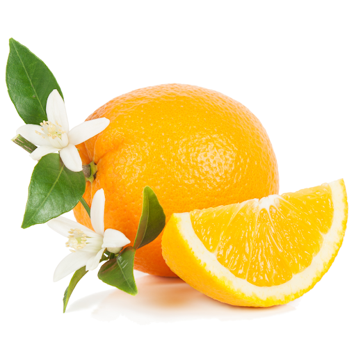 پرتغال دارابی درجه یک